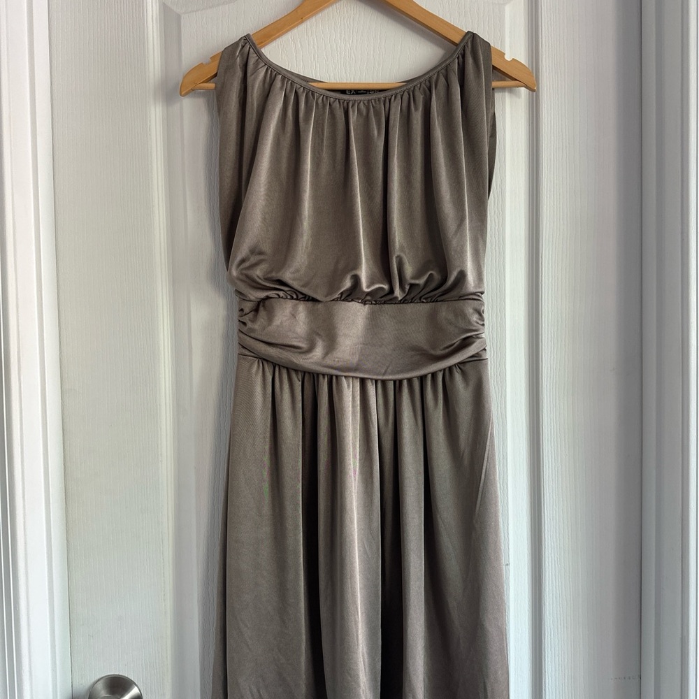Express Gray/Bronze Dress